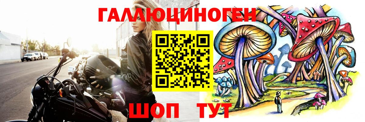 Галлюциногенные грибы GOLDEN TEACHER  Галлюциногенные грибы Cubensis  Чита  Вход с VPN 
