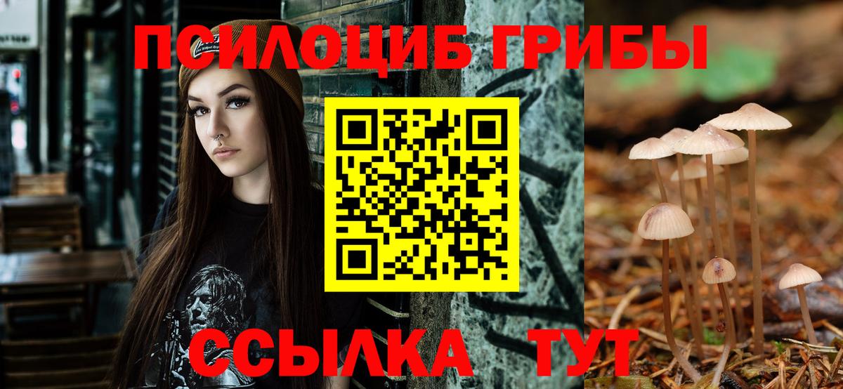 Псилоцибиновые грибы Cubensis Чита